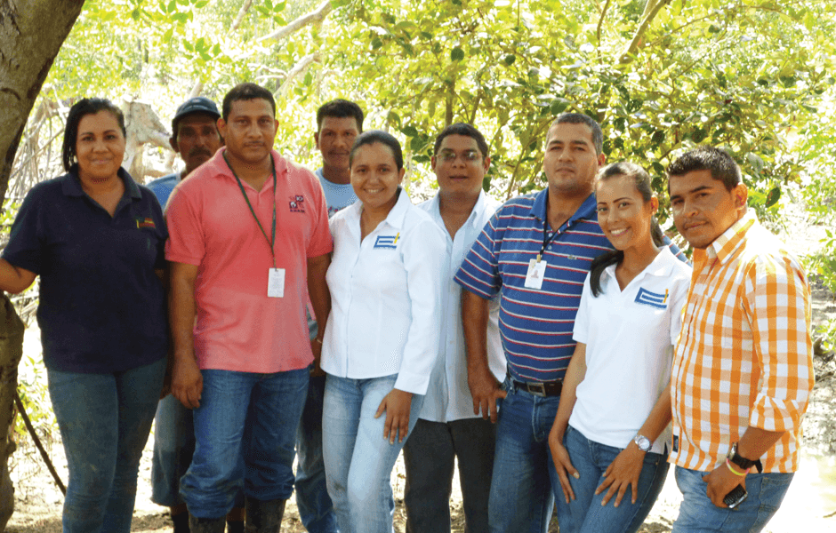 RSE: Reforestación de Manglares
